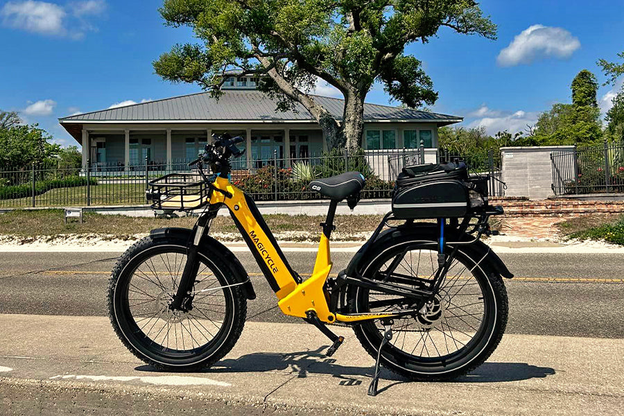 electric bikes for adults