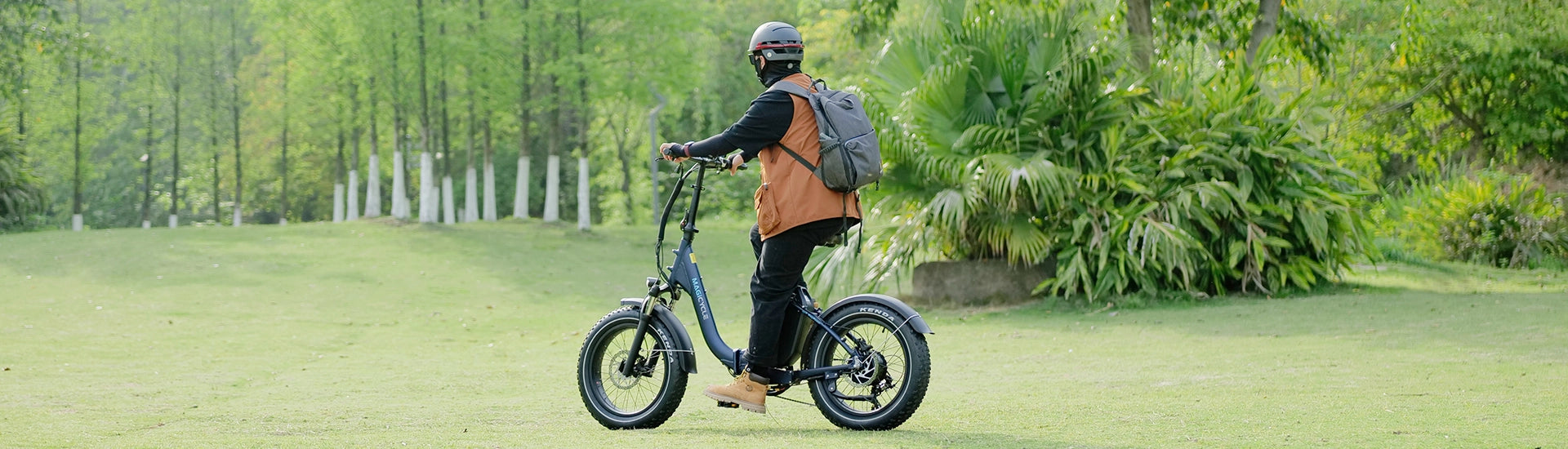 Folding Step Thru Fat Tire Electric Bikes