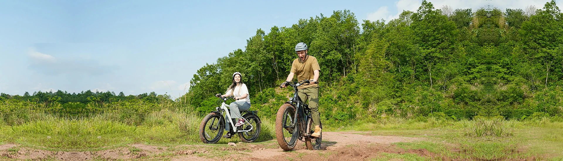 Fat Tire Step Over Electric Bikes