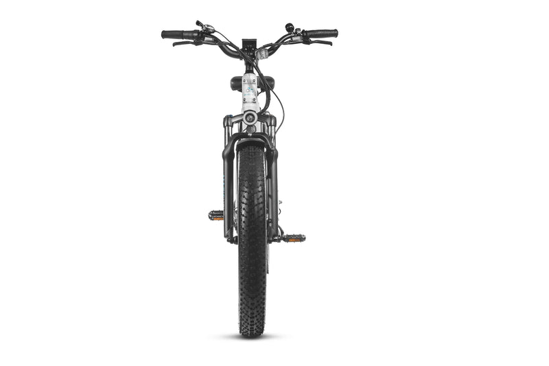 Bundle Sale - Magicycle Cruiser Pro E-Bike With A Second Battery