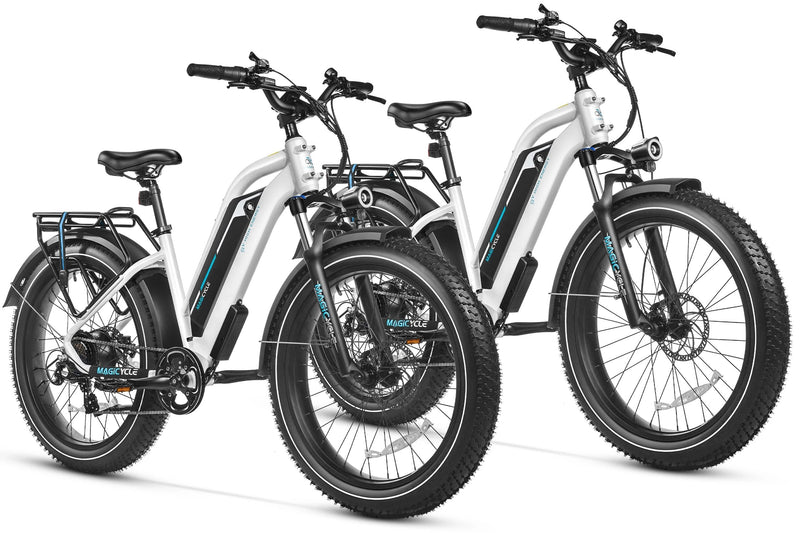 cruiser pro step-thru ebike