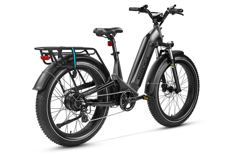 electric bike dog trailer