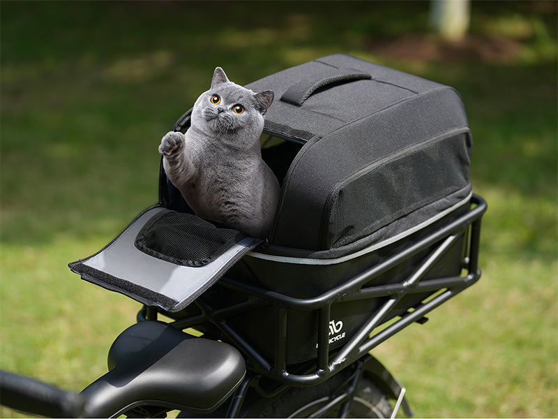 Gray cat in a black pet carrier on an ebike rear rack.